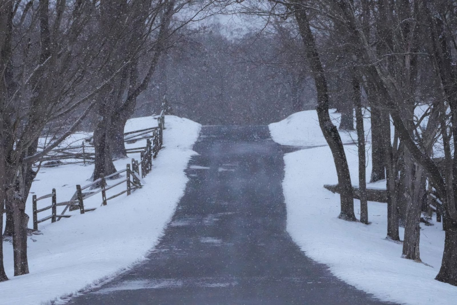 A plowed lane between snowbanks and a split-rail fence under bare trees