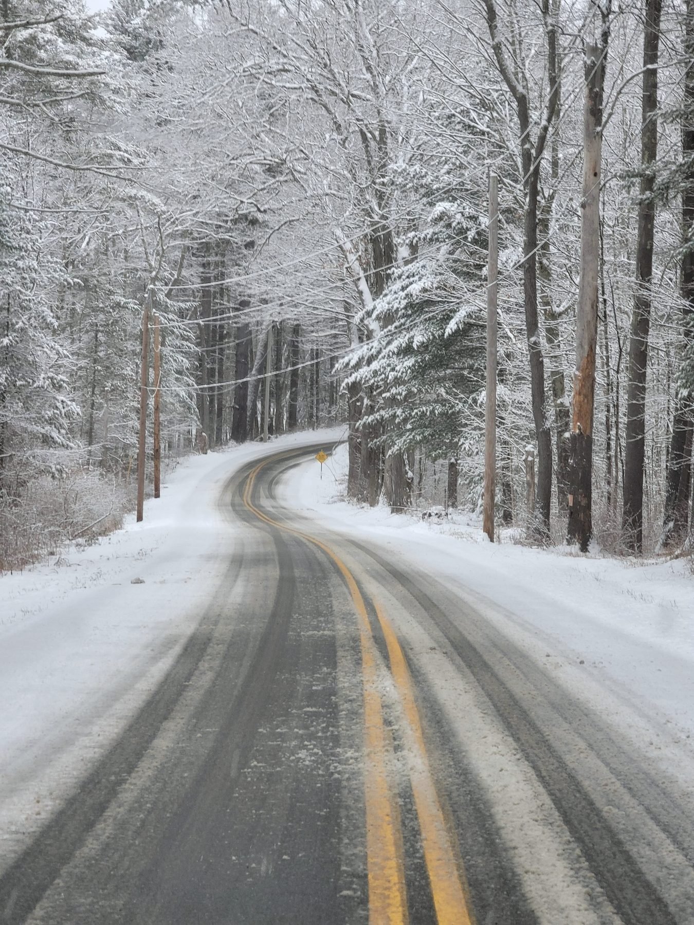 A snow-covered two-lane road with a yellow centre line curving through woods